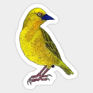 Holub&#39;s African Golden Weaver Bird Illustration Sticker